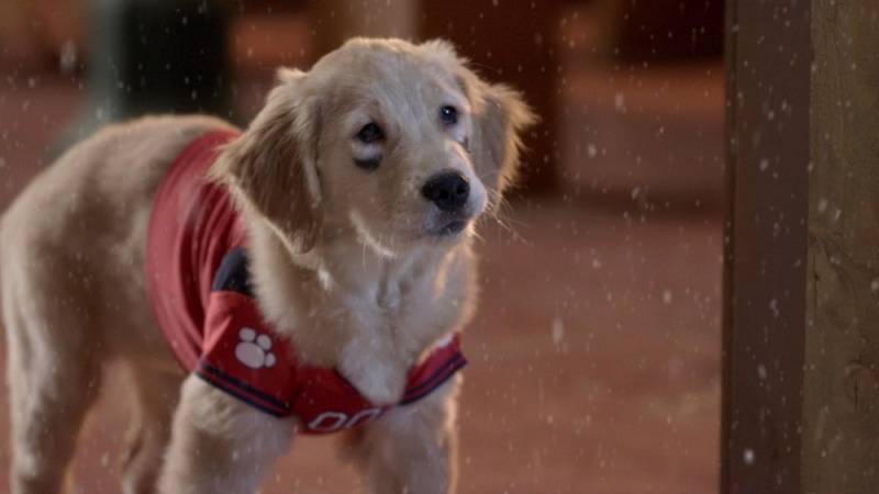 background Santa Buddies: The Legend of Santa Paws