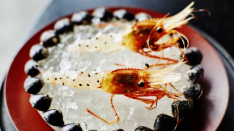 background Ants on a Shrimp