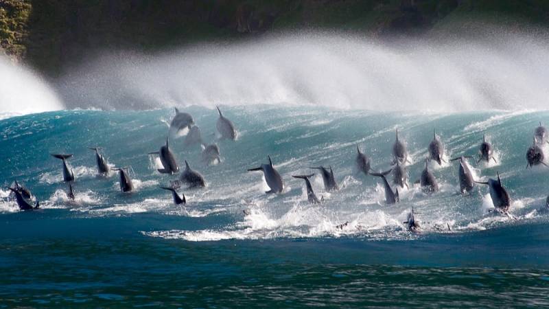 background Oceans: Our Blue Planet