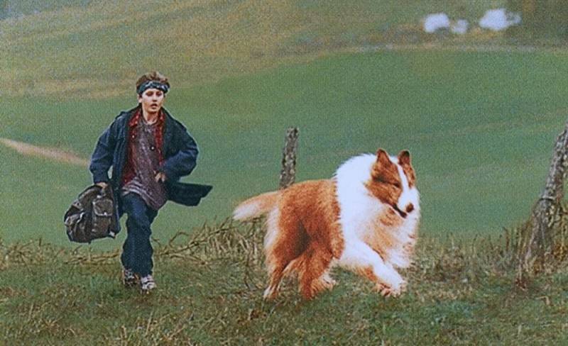 background Lassie