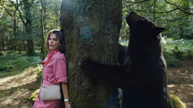 background Cocaine Bear