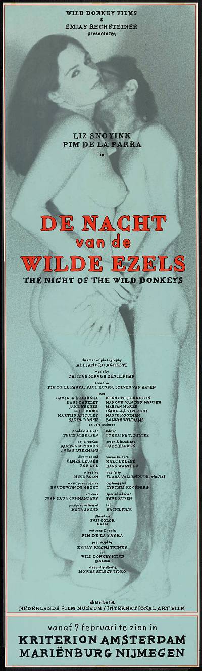 De nacht van de wilde ezels
