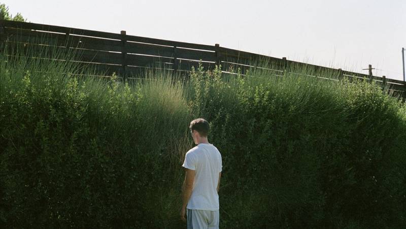 background Dogtooth