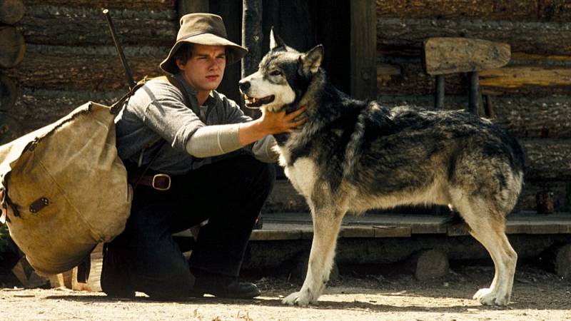 background White Fang