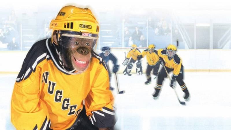 background MVP: Most Valuable Primate