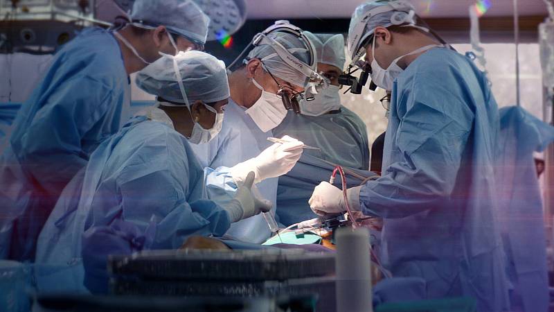 background The Surgeon's Cut