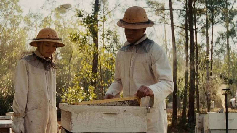 background The Secret Life of Bees