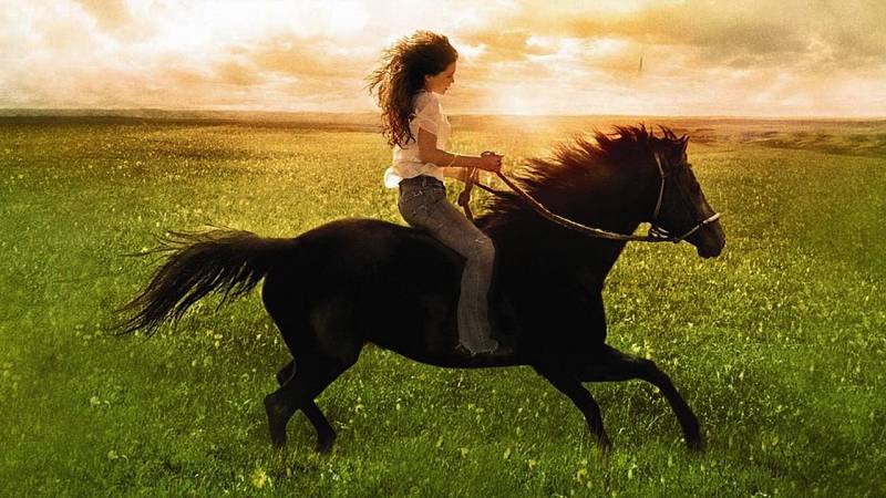 background Flicka