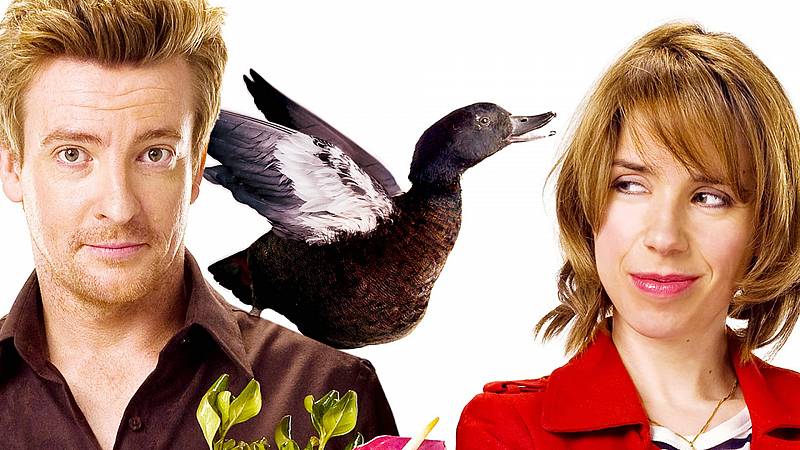background Love Birds
