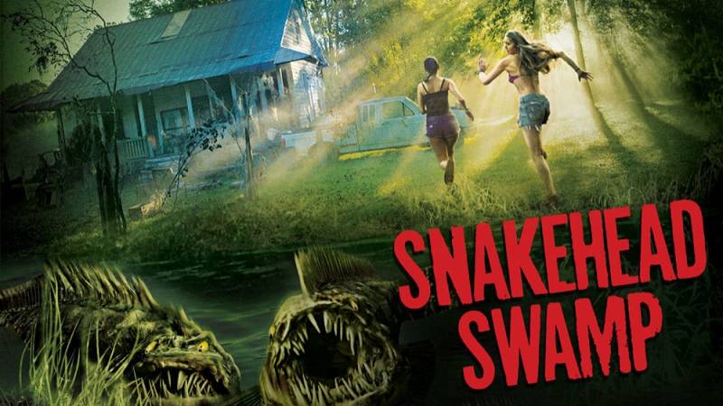 background Snakehead Swamp