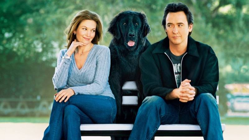 background Must Love Dogs