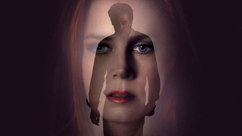 background Nocturnal Animals