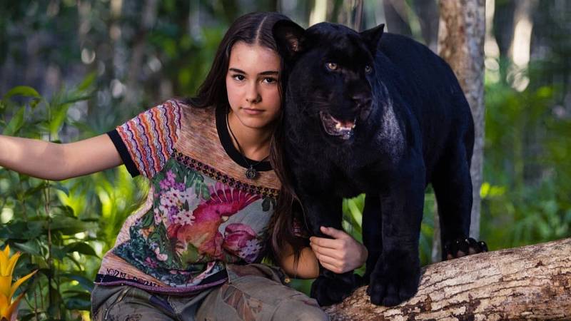 background Autumn and The black jaguar (OV)