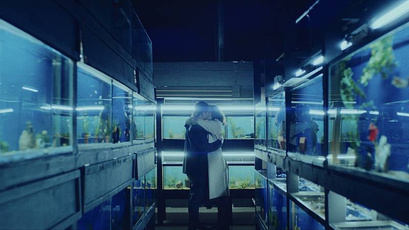 background Little FIsh