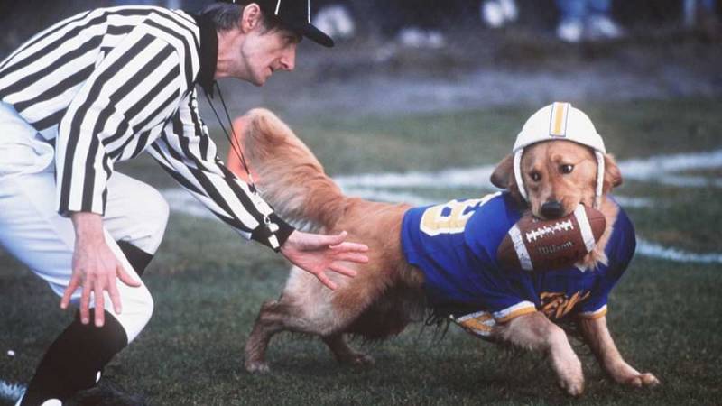 background Air Bud 2: De topscoorder