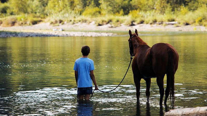 background Lean on Pete