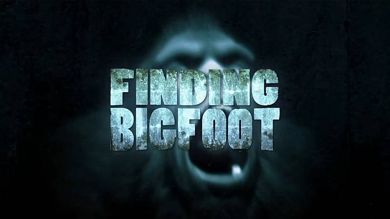 background Finding Bigfoot