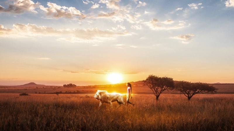background Mia and the White Lion