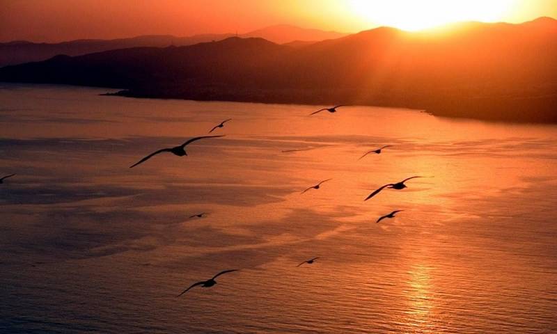 background Jonathan Livingston Seagull