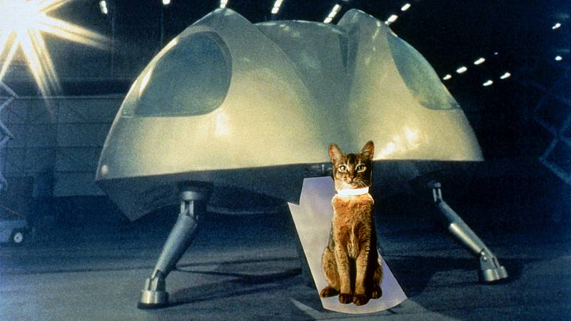 background The Cat from Outer Space