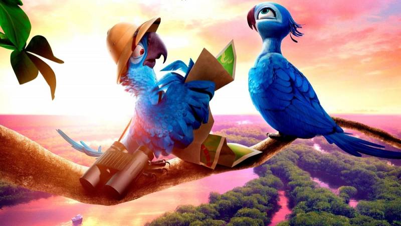 background Rio 2 (NL)