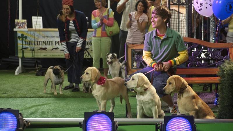 background Marley & Me: The Puppy Years