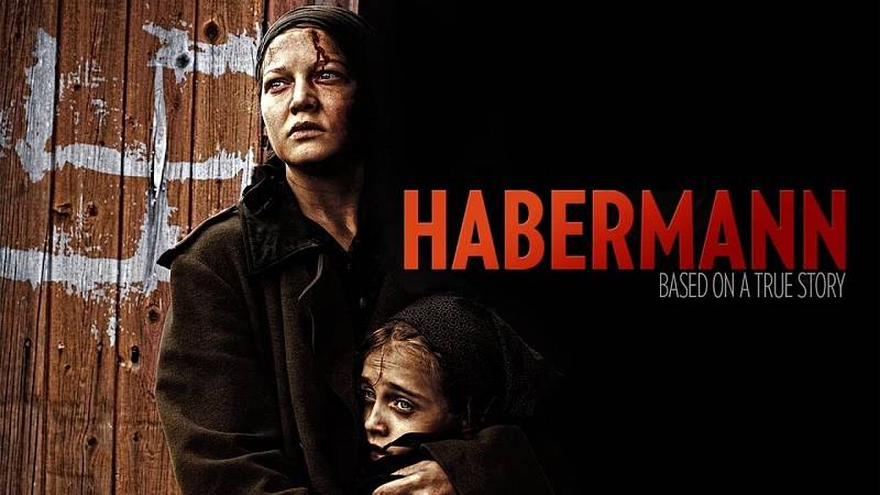 background Habermann