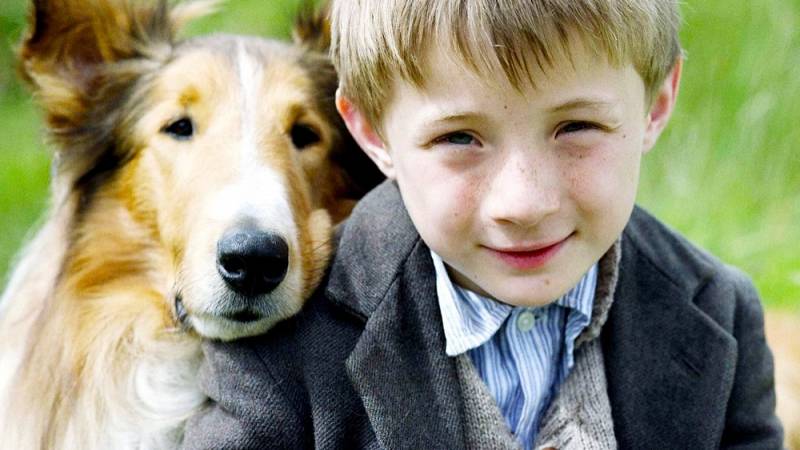 background Lassie