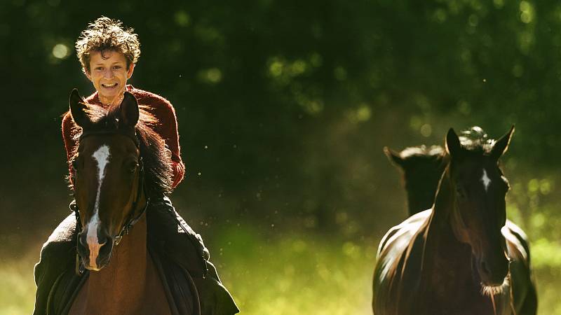 background Out Stealing Horses