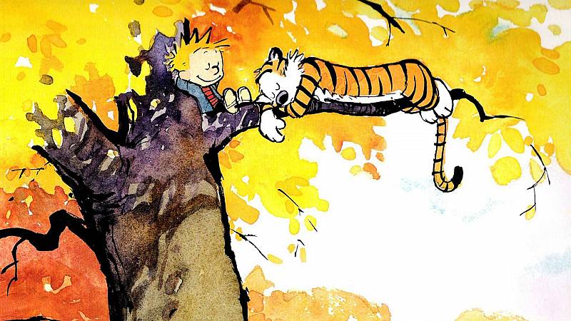 background Dear Mr. Watterson