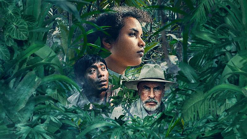 background Tragic Jungle
