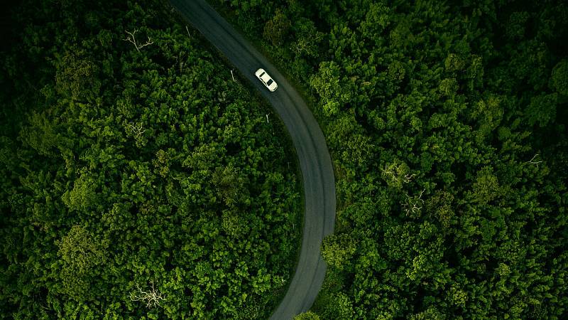 background Hillbilly Elegy
