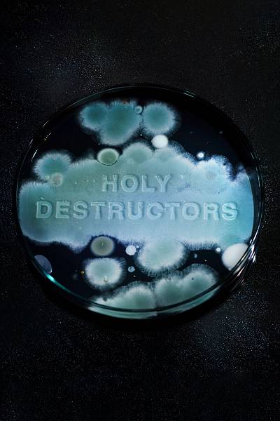 Holy Destructors