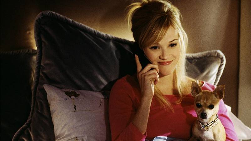 background Legally Blonde 2: Red, White and Blonde