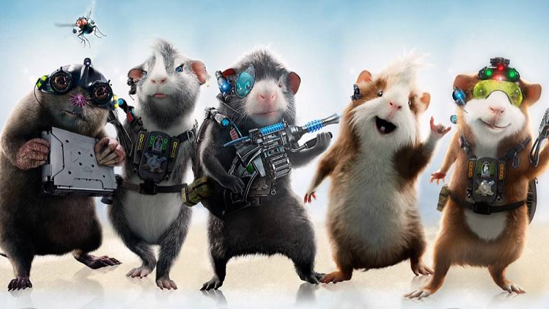 background G-Force (NL)
