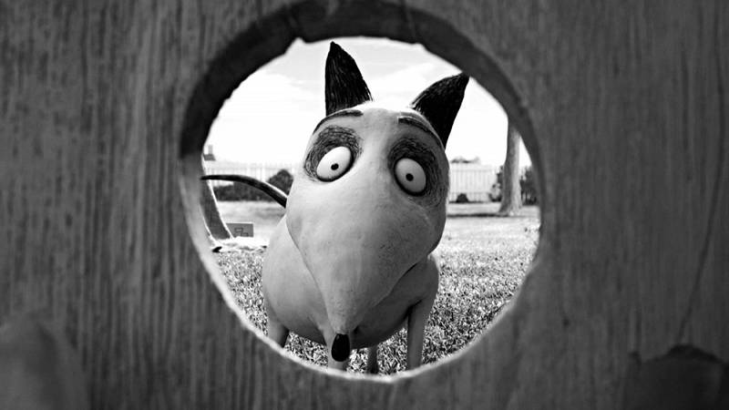 background Frankenweenie