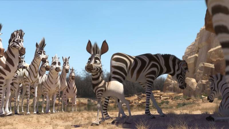 background Koemba: de zebra die zijn strepen kwijt is