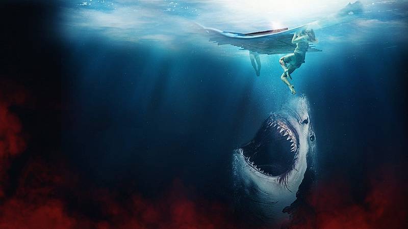background The Requin