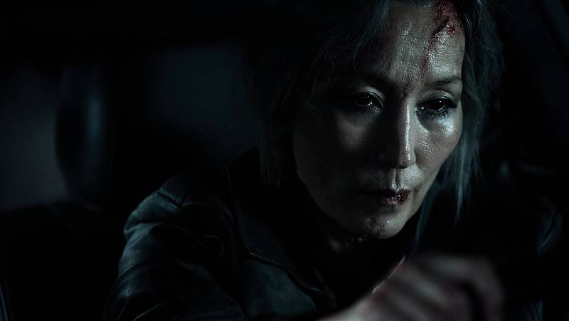 background The Old Woman with the Knife