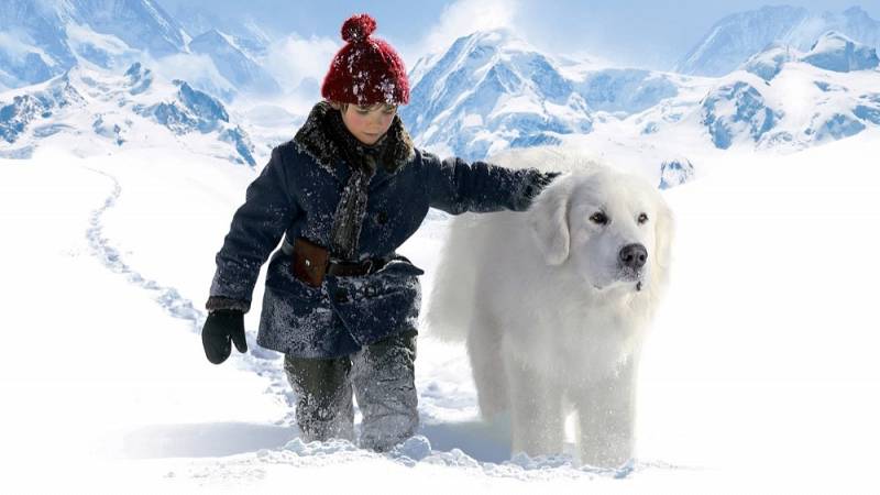 background Belle en Sebastiaan