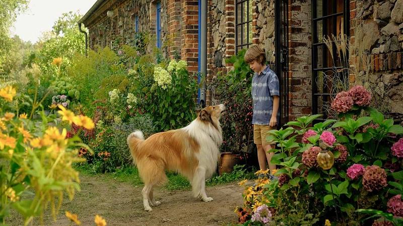 background Lassie: Een Nieuw Avontuur