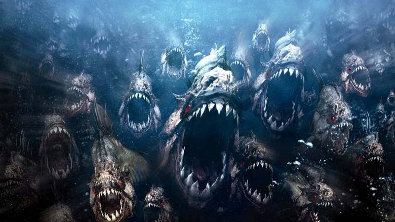 background Piranha 3