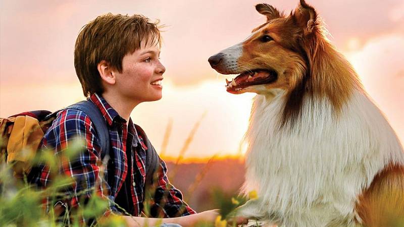 background Lassie