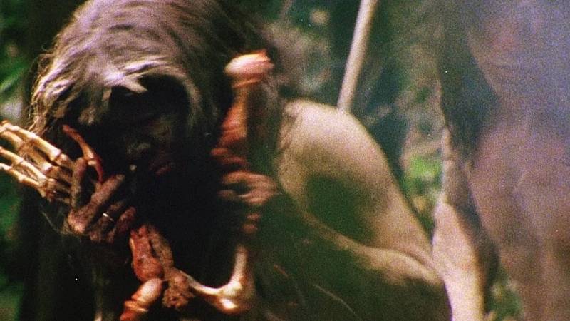 background Cannibal Holocaust