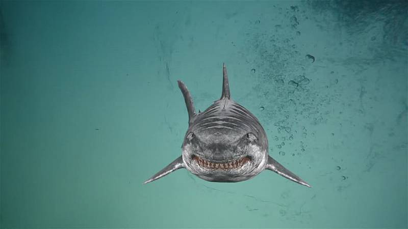 background Jurassic Shark 2: Aquapocalypse