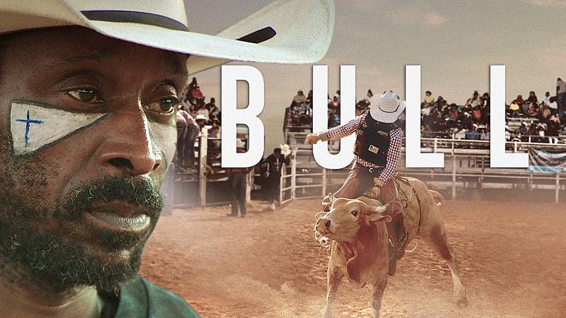 background Bull