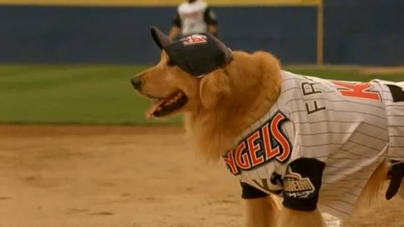 background Airbud 4
