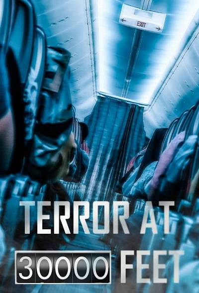 Terror At 30.000 Feet