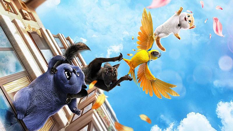 background Cats: op zoek naar Kattopia