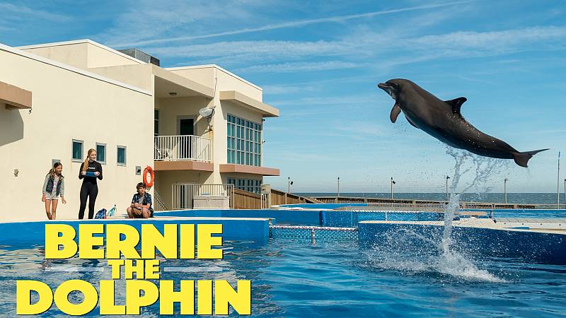 background Bernie The Dolphin